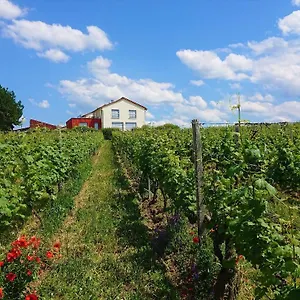 weinbergshof-rickel.com-bavaria.com/